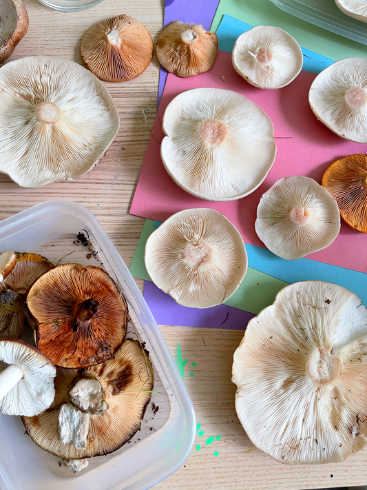 How to make mushroom spore print art