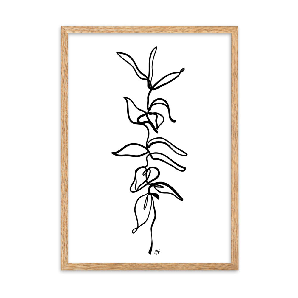 Vinea - Framed Art Print