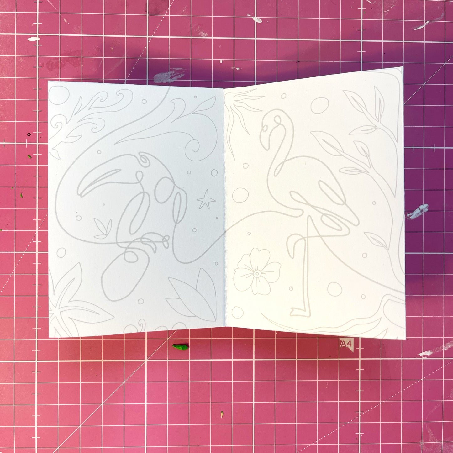 The One Line Scribbly Book - The Enchanted Forest (Limited First Print Run)