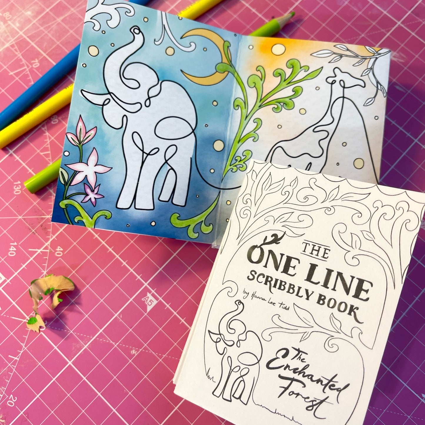 The One Line Scribbly Book - The Enchanted Forest (Limited First Print Run)