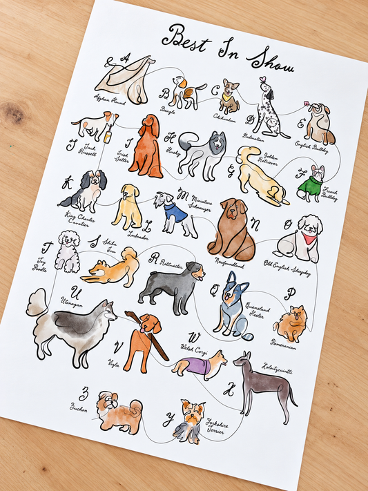 Best in Show – Limited Edition A-Z of Dogs Alphabet Art Print
