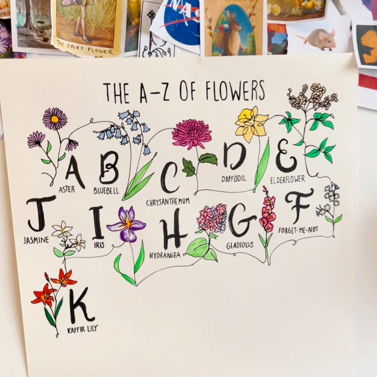 The Flowphabet - The A-Z of Flowers - Signed Framed Art Print (Pre-order)