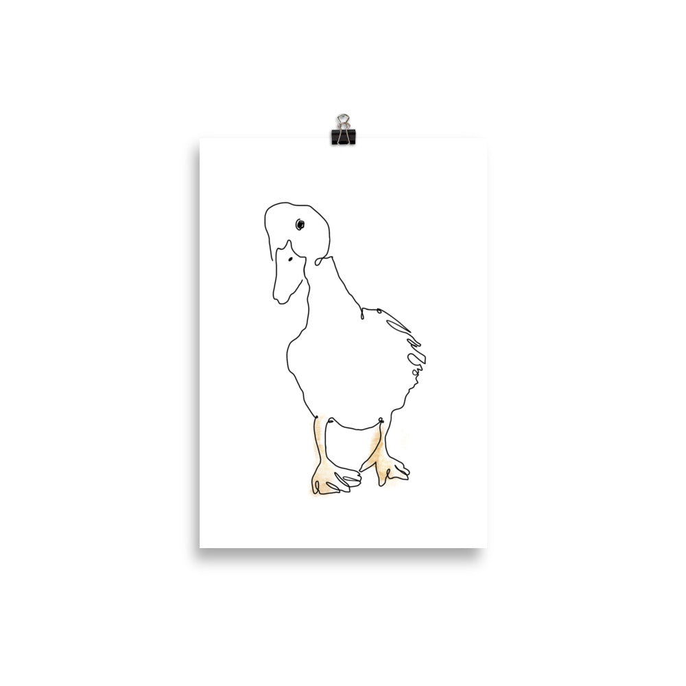 The Duck - Art Print